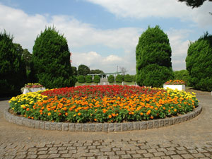 寄せ植え花壇（よせうえかだん）