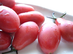 ミニトマトのハイブリッド品種「アイコ」