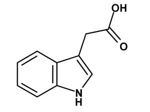 オーキシンの一種である3-インドール酢酸の構造式