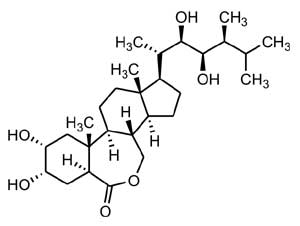 ブラシノステロイドの一種、ブラシノライドの構造式