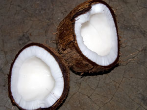 ココナツの胚乳は食用に利用される